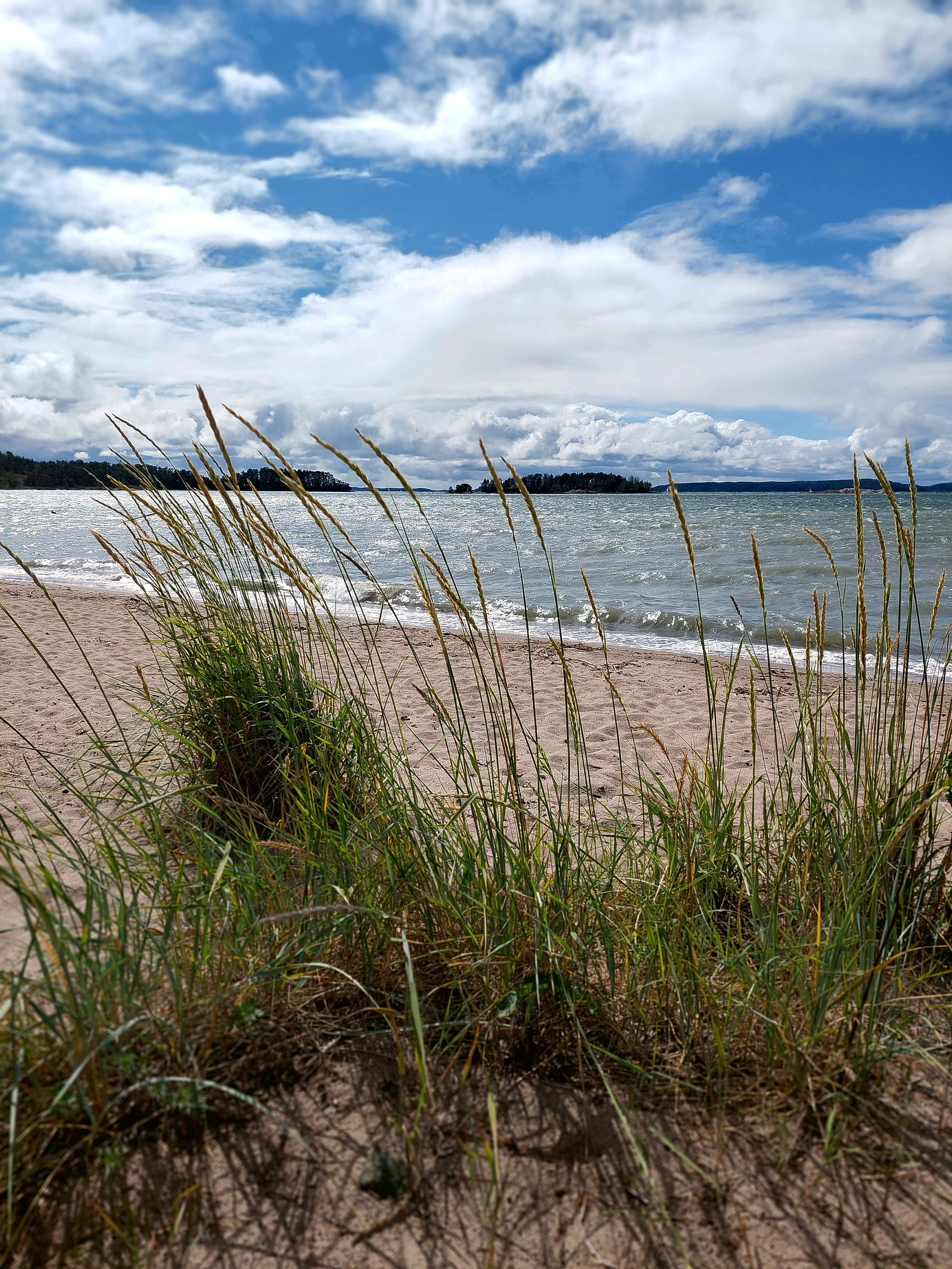 Sand, hav och vajande gräs