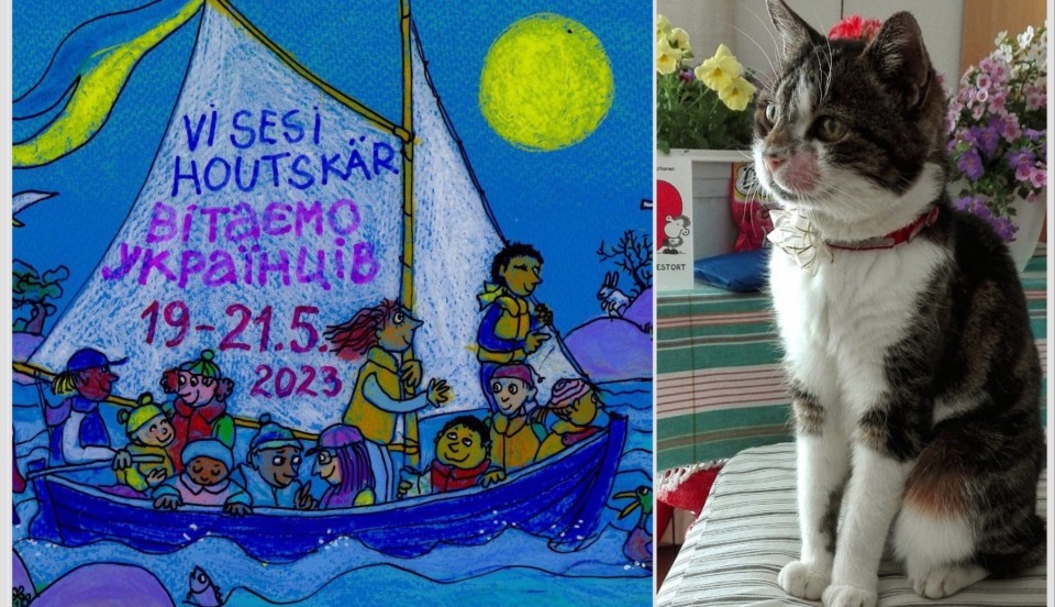 Ett bildkollage med en affisch och en katt