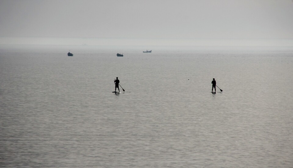 Två personer paddlar stående på varsin SUP-bräda ute på sjön