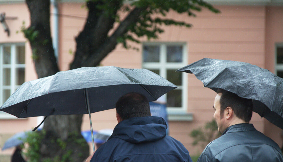 Två personer med paraplyer fotograferade bakifrån