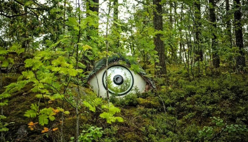 Konstverk som ser ut som ett stort öga och är placerat i en skog.