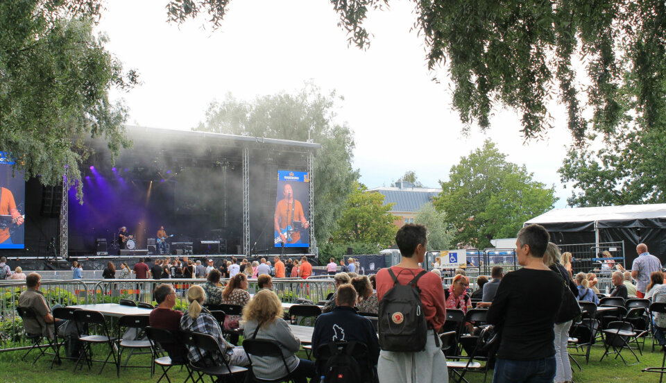 Publik och artister på festival i lummig park.