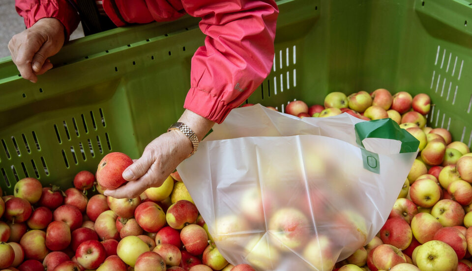 En hand som plockar äpplen från en stor låda.