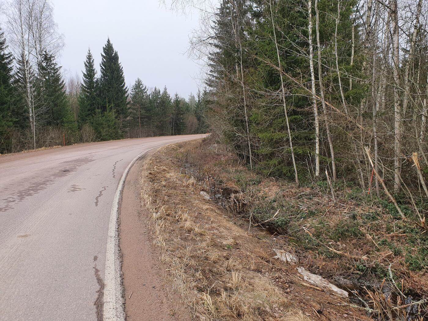 En väg med skog på båda sidor.