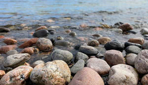 Stenar i strandskvalp.