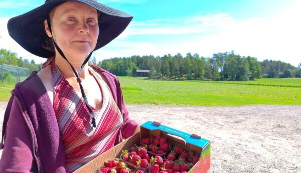 Kvinna som håller en låda fylld med jordgubbar