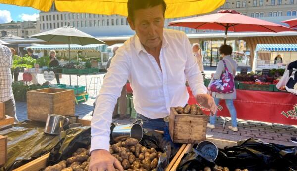 Nypotatisodlaren Jari Rainio står och säljer potatis på salutorget i åbo.