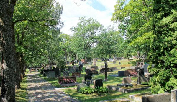 Gamla gravgården i Ekenäs. Gröna träd och buskar finns på gården. Några gravstenar syns på bilden samt en grusgång.